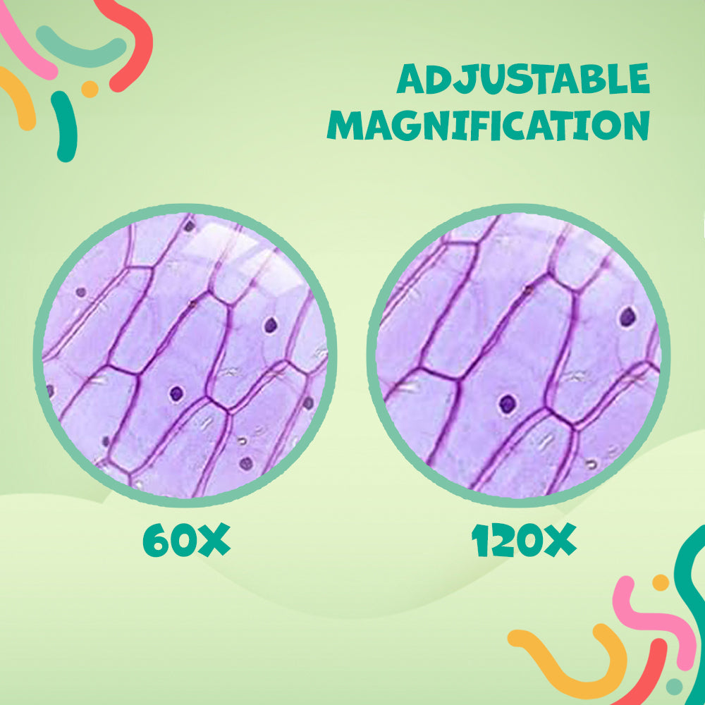 Curio Kids™: Mini Microscope
